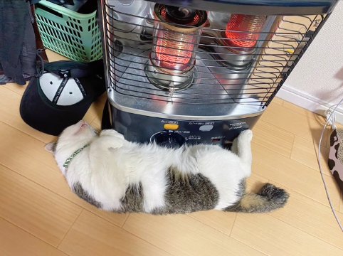 ストーブに張り付いて眠る猫
