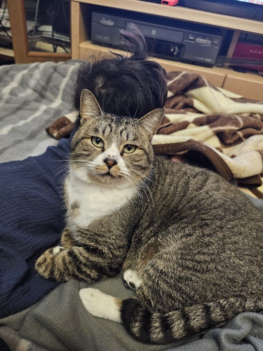 赤ちゃんの後ろにいる猫