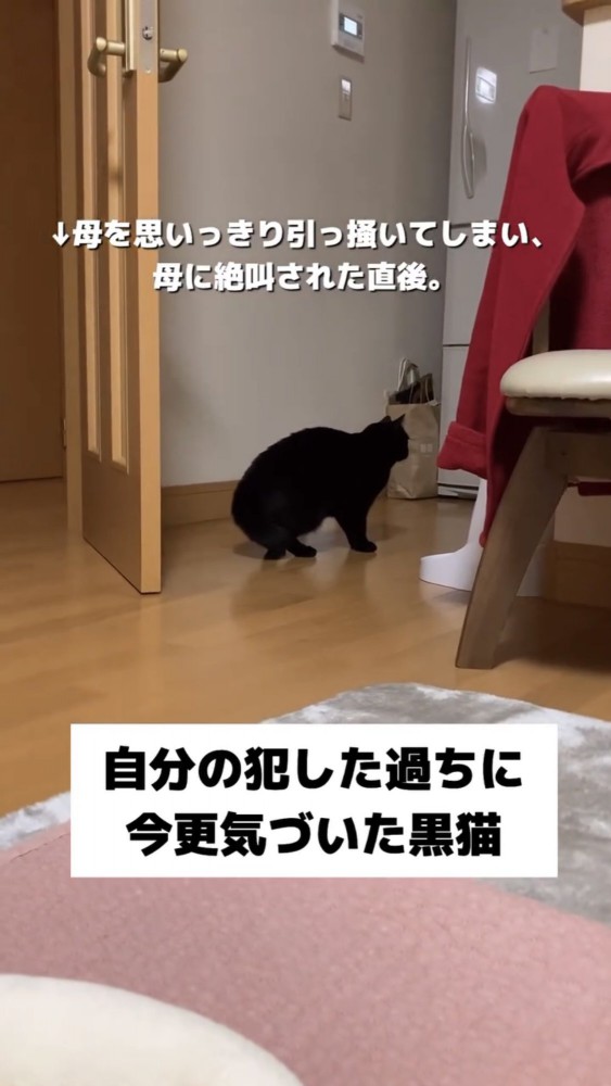 うずくまる黒猫