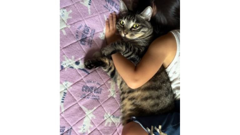 猫を抱いている女の子