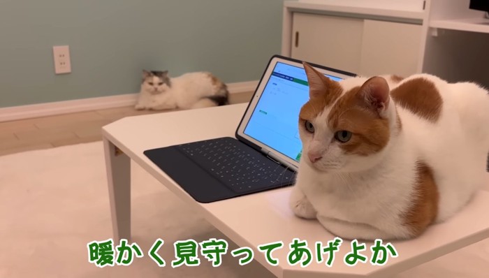 暖かく見守って