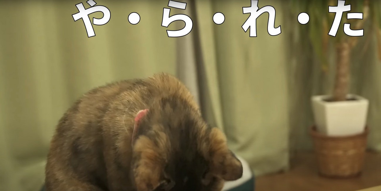 下を向くたっちゃん