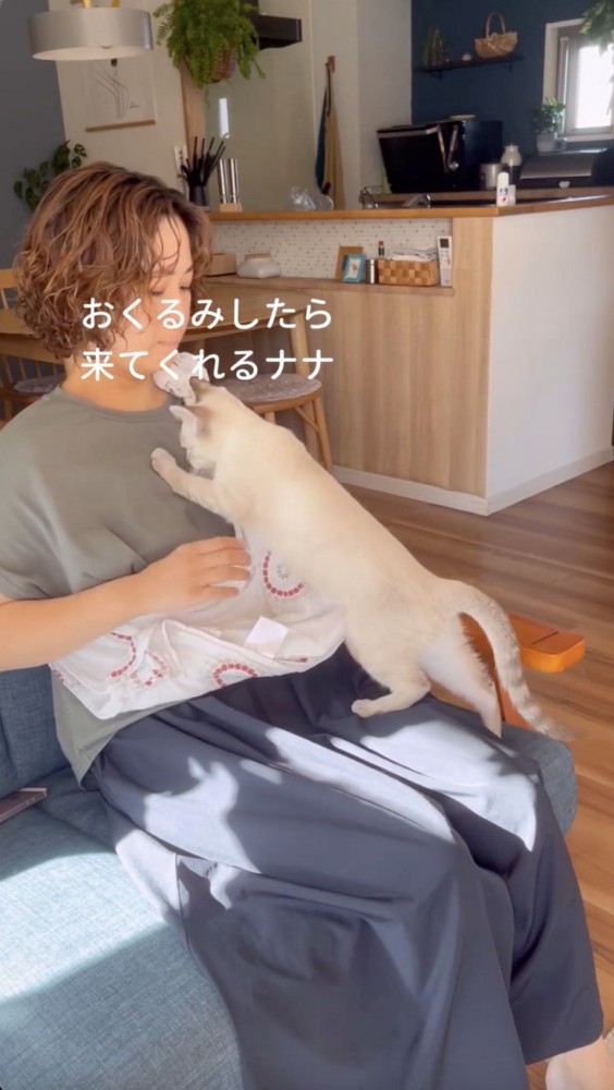 飼い主さんに寄りかかる猫