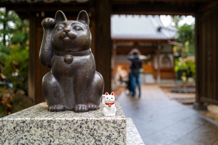 招き猫のある神社