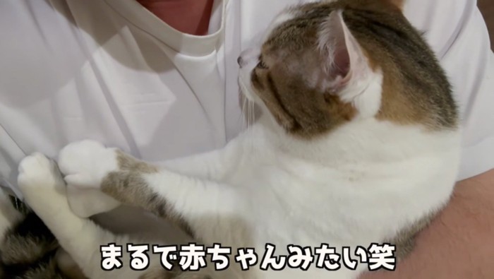 赤ちゃんのようなコトくん