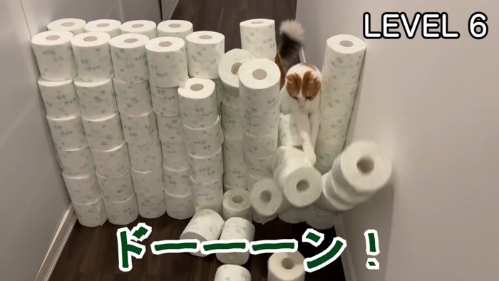 大胆に崩す師匠