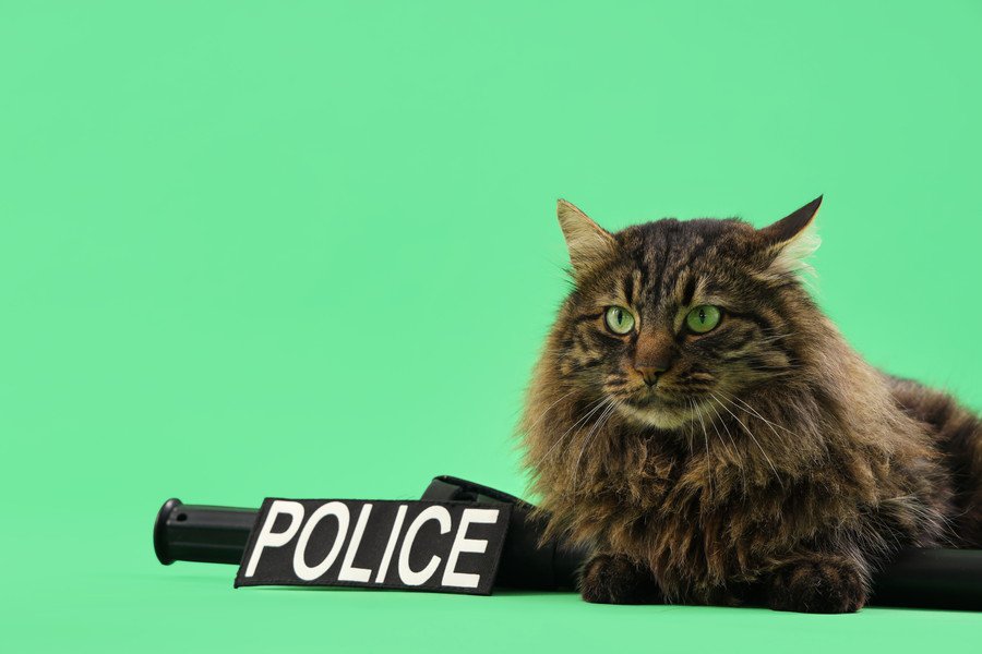 猫警察官のイメージ