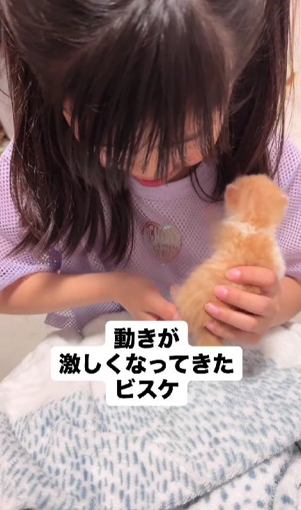 女の子と子猫