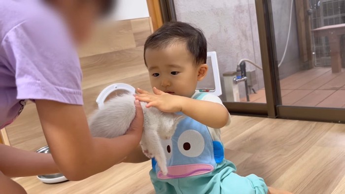 姪っ子ちゃんとゆめこちゃんと赤ちゃん