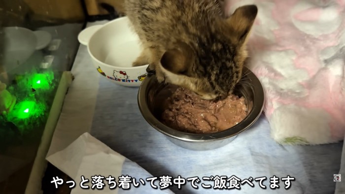 テロップ「やっと落ち着いて～」