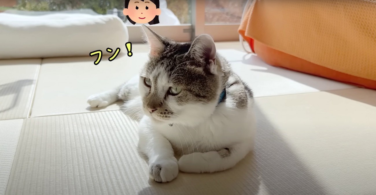 拗ねるささみくん