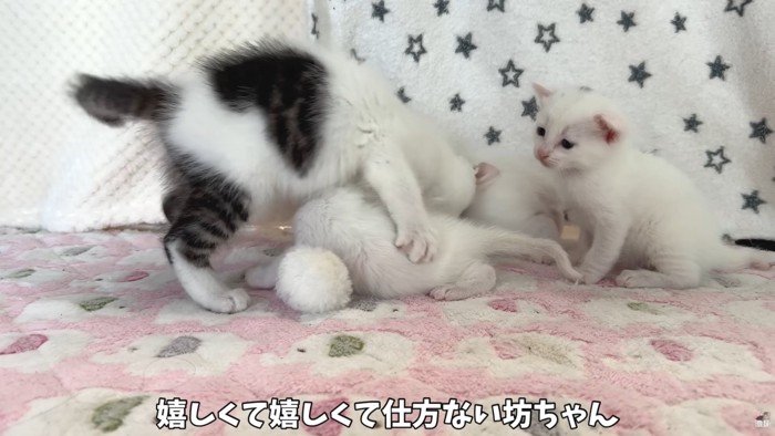 テロップ「嬉しくて嬉しくて～」