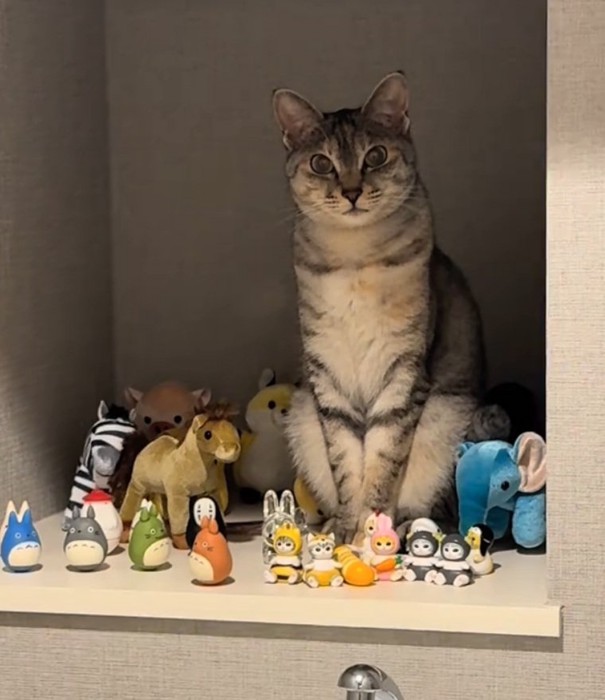 カメラ目線のルナちゃん