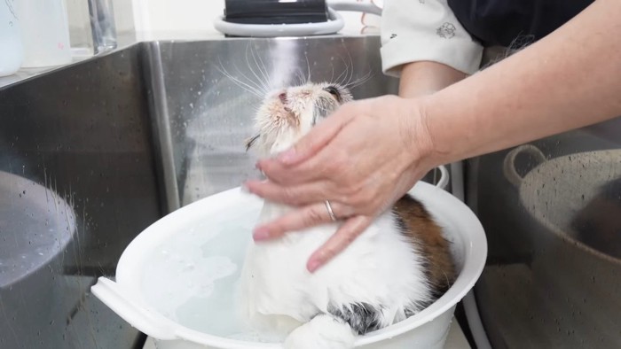 上を向いて