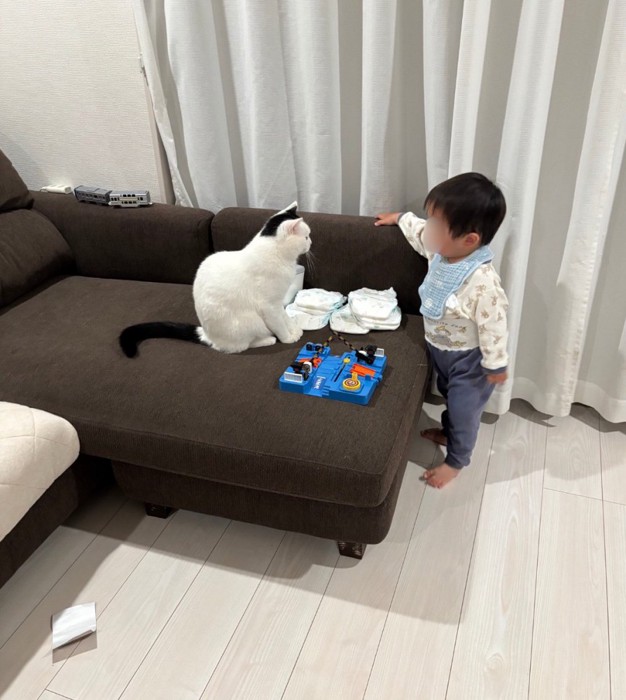 おむつを挟んで猫と男の子が対峙