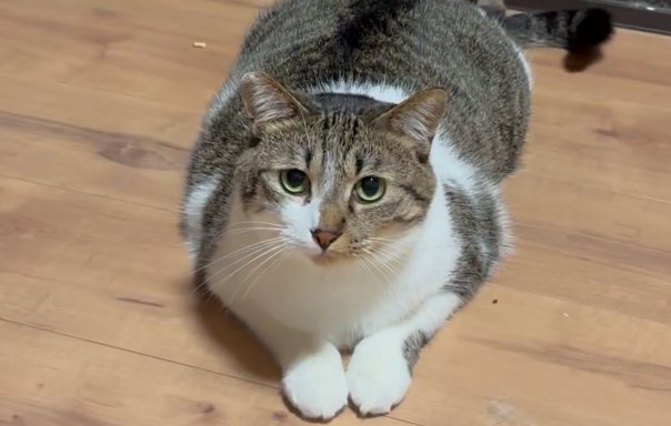 座っているぴえんくん
