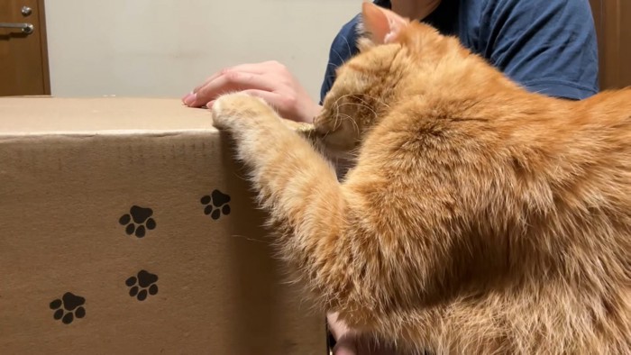 つな「今年の誕生日プレゼントはなに？」