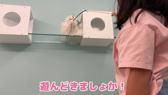 遊んどきましょか!