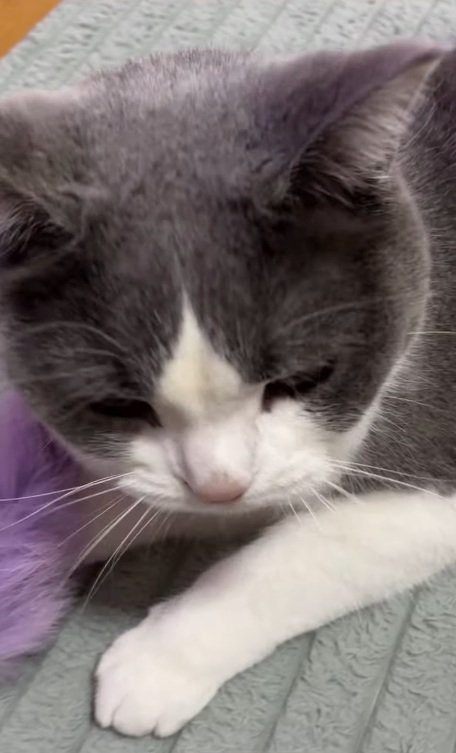 くつろぐそらくん