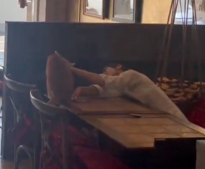 猫に触れる手前右の従業員