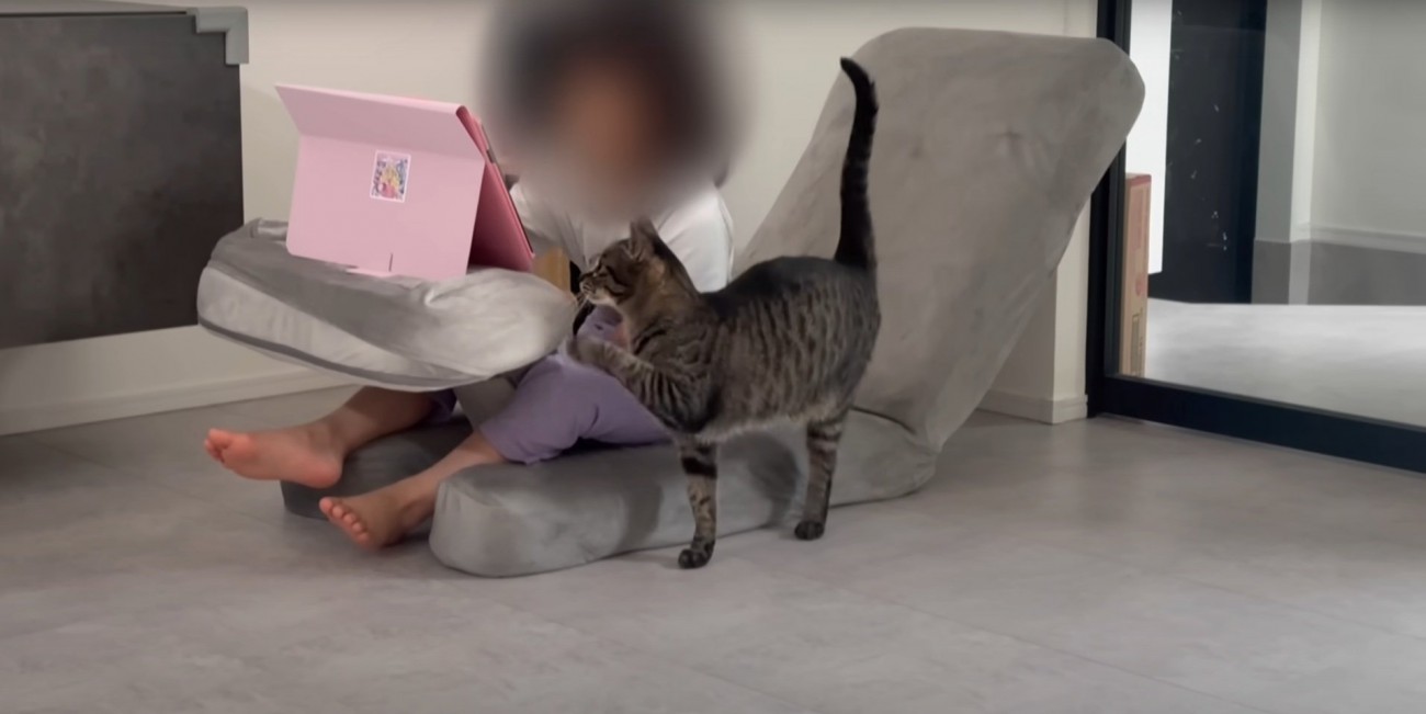 タブレットを見るももまるちゃん