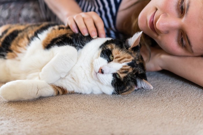 横たわった猫を撫でる女性