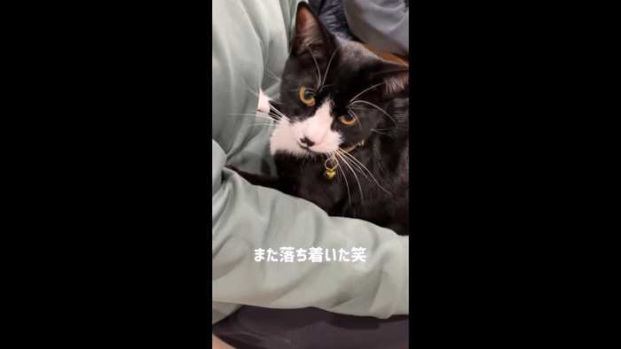 また落ち着いた