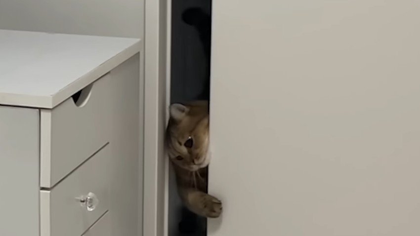 ドアの隙間
