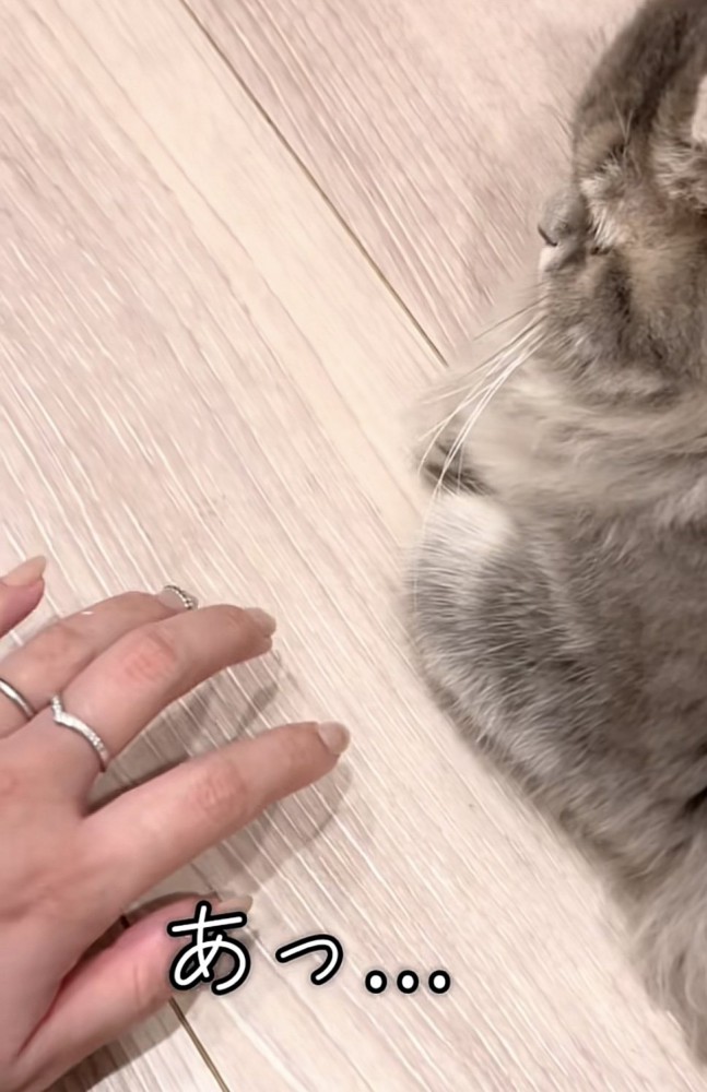 おててを引っ込めた凪ちゃん