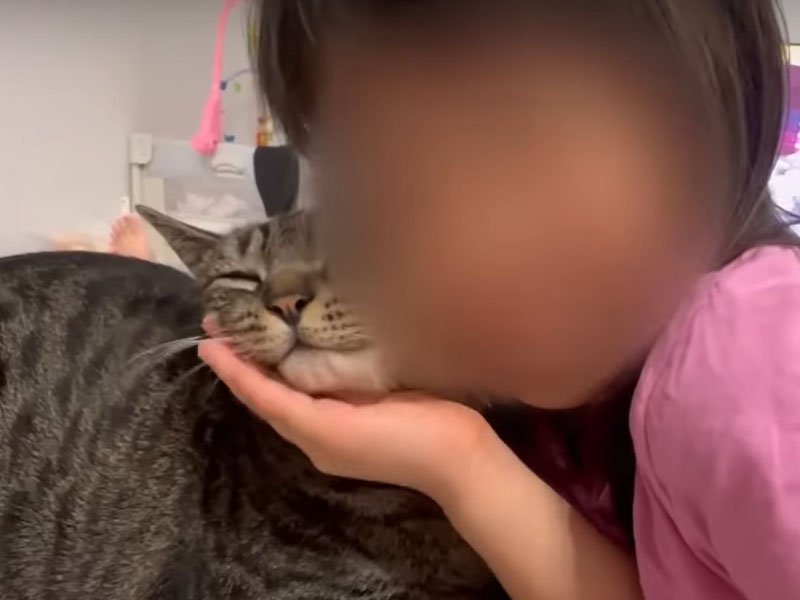 頬ずりする人間と猫