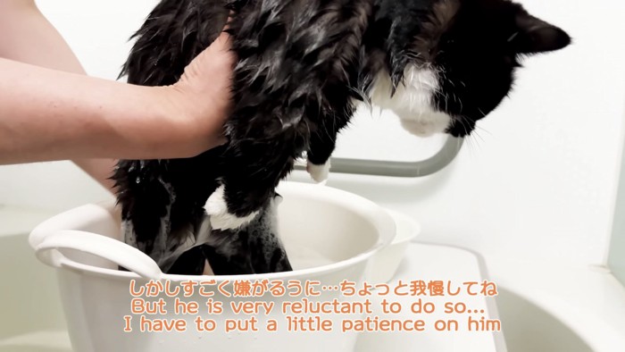 「しかしすごく...」のテロップ写真