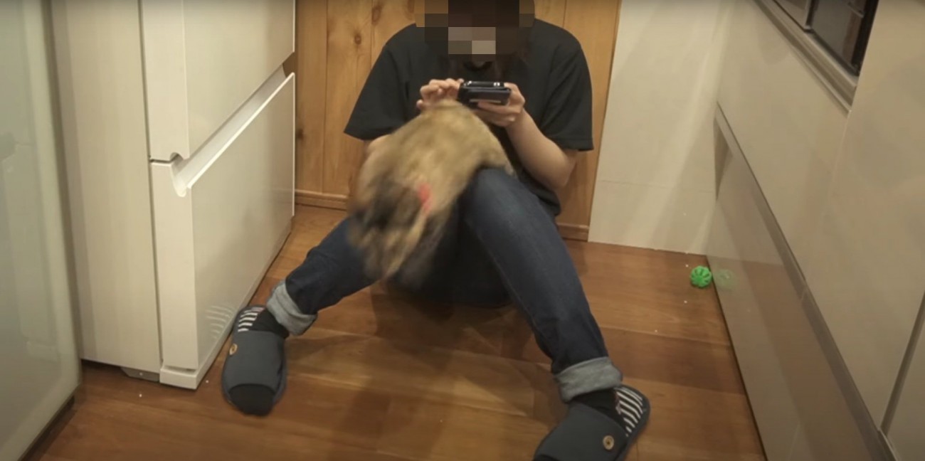 膝から飛び降りるたっちゃん