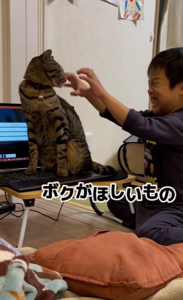 怒っている男の子と猫