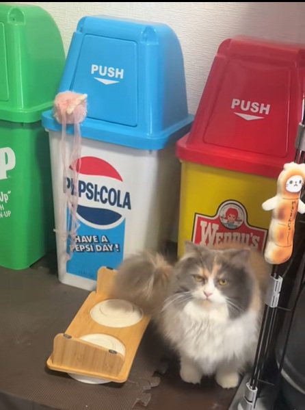 しょんぼりねこ