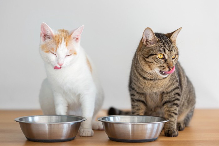 食器の前で舌を出す2匹の猫