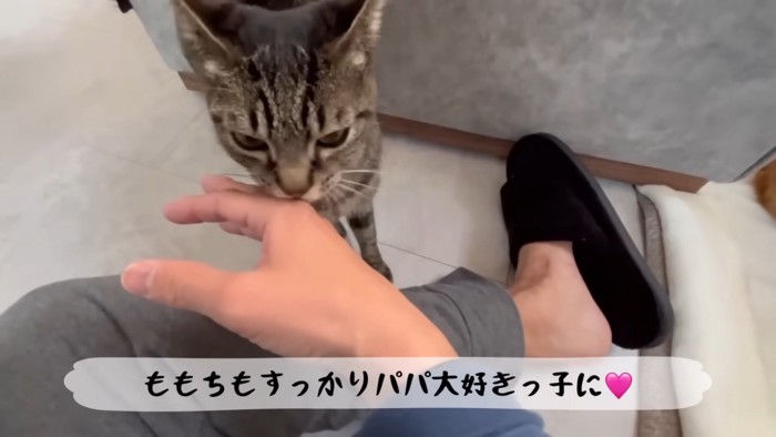 テロップ「ももちもすっかり~」