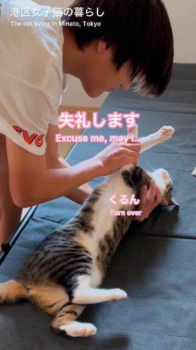 男の子に支えられて仰向けになる猫