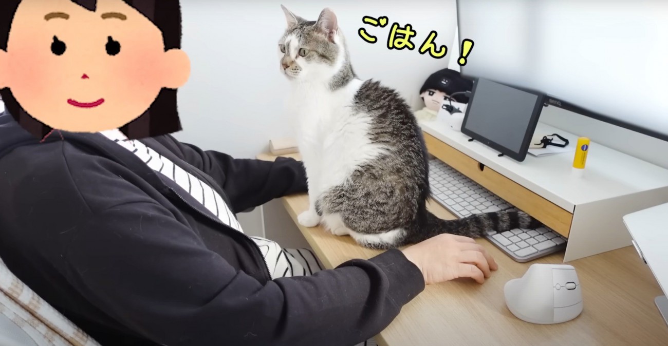 机の上に猫
