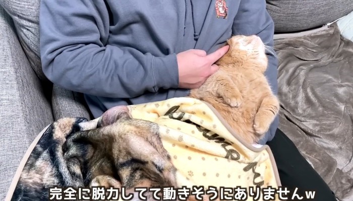 骨抜きにされるプリンちゃん