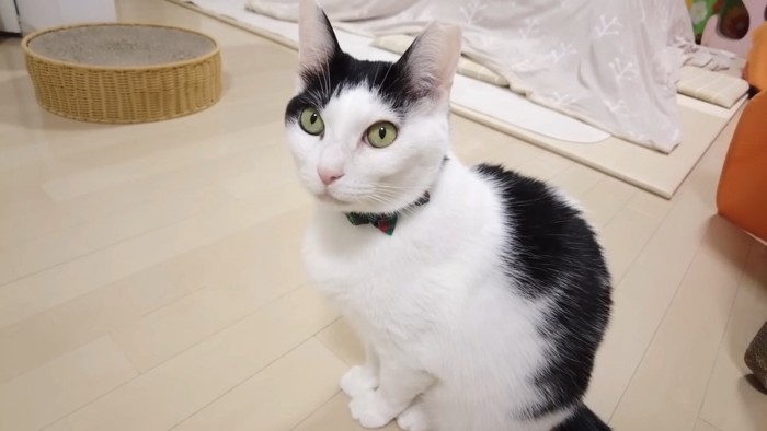 ワクワクのホルンくん