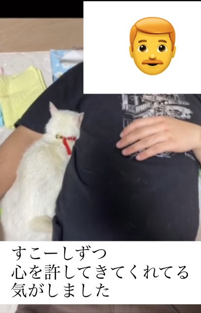 飼い主の腕の間に挟まれている白猫