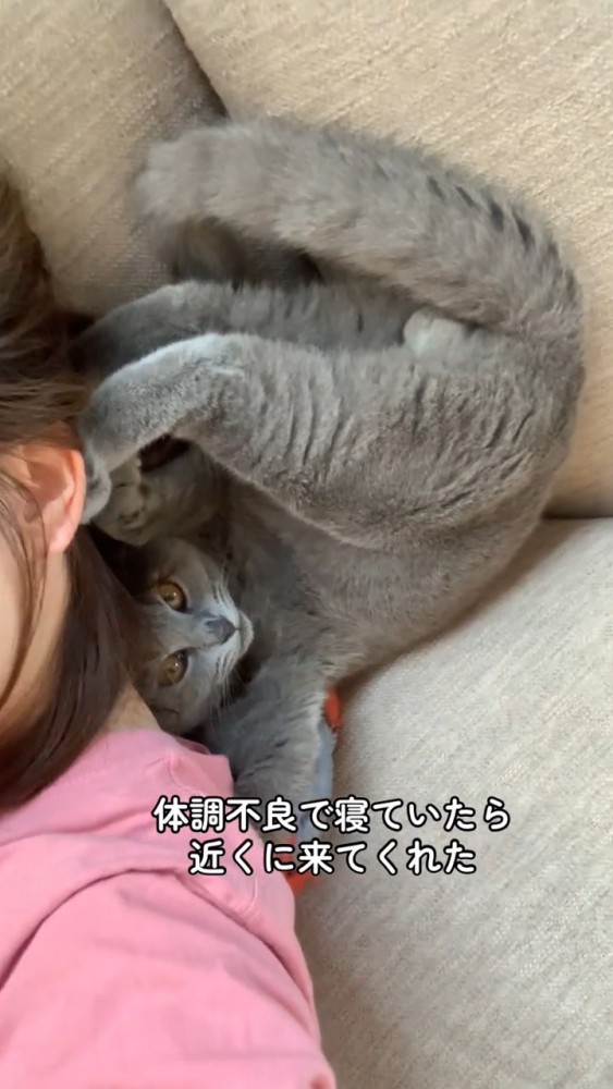 飼い主さんの頭を足で支える猫さん