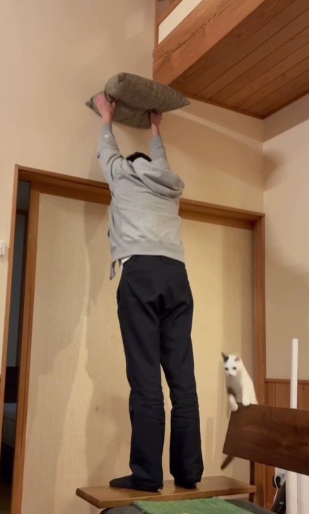 座布団を掲げる飼い主と猫