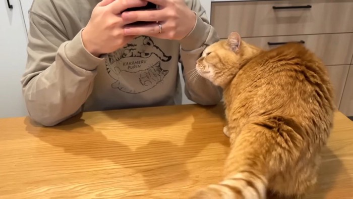 スリスリするプリンくん