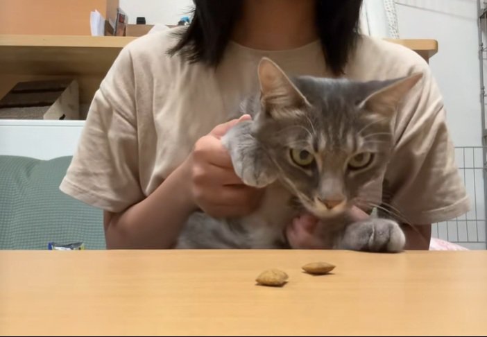 おやつに気づく