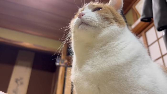 下からのアングル