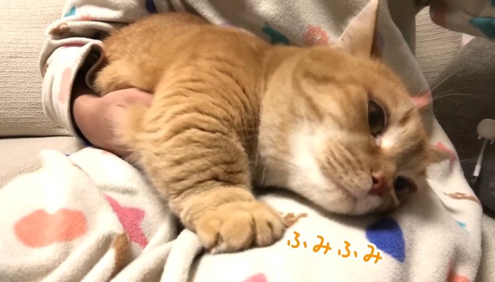 ママさんをふみふみ