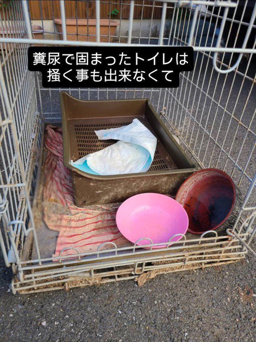 ケージと猫トイレ