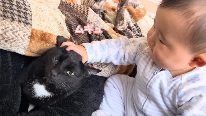 猫の頭をつかむ赤ちゃん