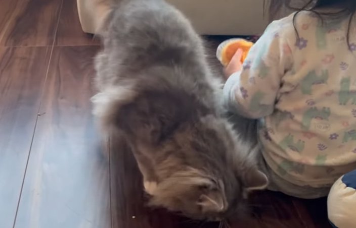 子供の後ろ姿と床のパンを食べる猫